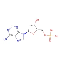 2'-Deoxyadenosine-5'-monophosphate, 98% CAS 653-63-4