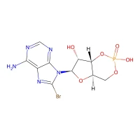 8-Bromoadenosine-3',5'-cyclic monophosphate CAS 23583-48-4
