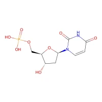2'-Deoxyuridine-5'-monophosphate disodium salt, 99% CAS 42155-08-8