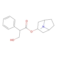 Tropine DL-tropate, 99% CAS 51-55-8