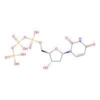 2'-Deoxyuridine-5'-triphosphate trisodium salt, 95% CAS 102814-08-4