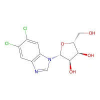 5,6-Dichlorobenzimidazole riboside, 98% CAS 53-85-0