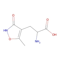(^+)-^a-Amino-3-hydroxy-5-methyl-4-isoxazolepropionic acid CAS 74341-63-2