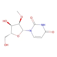 2'-O-Methyluridine, 99% CAS 2140-76-3