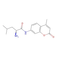 L-Leucine 7-amido-4-methylcoumarin hydrate CAS 66447-31-2