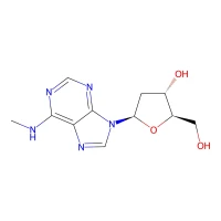 N6-Methyl-2'-deoxyadenosine, 99% CAS 2002-35-9