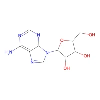 9-^b-D-Arabinofuranosyladenine, 99% CAS 5536-17-4