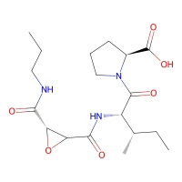 Cathepsin B Inhibitor III CAS 134448-10-5