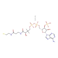 Coenzyme A trilithium salt, 95% CAS 18439-24-2