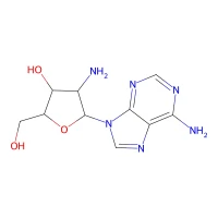 2'-Amino-2'-deoxyadenosine, 98% CAS 10414-81-0