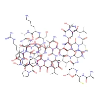Calcitonin Gene Related Peptide, human CAS 90954-53-3