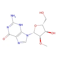 2'-O-Methylguanosine, 99% CAS 2140-71-8
