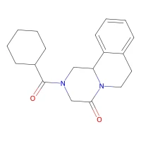 Praziquantel, 98% CAS 55268-74-1