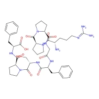 Bradykinin (2-9) CAS 16875-11-9