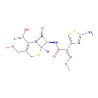 Cefpodoxime, 98% CAS 80210-62-4