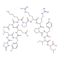 Neurotensin, guinea pig CAS 39379-15-2