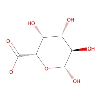 D-Galacturonic acid monohydrate, 97% CAS 91510-62-2
