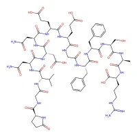Fibrinopeptide B, human CAS 36204-23-6