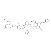 Neurokinin A CAS 86933-74-6