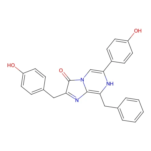5ced9a1c65d025bc8b9c2eaccfe50978