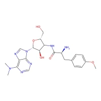 Puromycin, 10 mg/ml in distilled water, sterile-filtered CAS 53-79-2