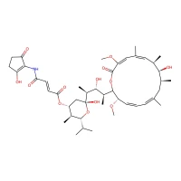 Bafilomycin B1, 0.1 mg/ml in methanol, sterile-filtered CAS 88899-56-3