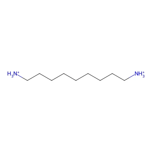 e41ea8d5b496460a9aab11c51adba536