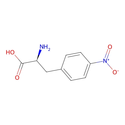 8ea55abc19e33575977663848d9c9562