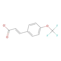 3-[4-(Trifluoromethoxy)phenyl]acrylic acid, 97% CAS 783-13-1