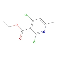 Ethyl 2,4-dichloro-6-methylnicotinate, 97% CAS 86129-63-7