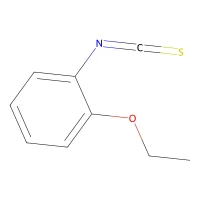 2-Ethoxyphenyl isothiocyanate, 97% CAS 23163-84-0