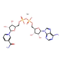 1-((2R,3R,4S,5R)-5-((((((((2R,3S,4R,5R)-5-(6-amino-9H-purin-9-yl)-3,4-dihydroxytetrahydrofuran-2-yl)methoxy)(hydroxy)phosphoryl)oxy)oxidophosphoryl)oxy)methyl)-3,4-dihydroxytetrahydrofuran-2-yl)-3-carbamoylpyridin-1-ium, sodium salt 98% CAS 20111-18-6