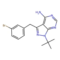 3-(3-Bromobenzyl)-1-(tert-butyl)-1H-pyrazolo[3,4-d]pyrimidin-4-amine 98% CAS 956025-99-3