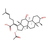(Z)-2-((3R,4S,5S,8S,9S,10S,11R,13R,14S,16S)-16-acetoxy-3,11-dihydroxy-4,8,10,14-tetramethyldodecahydro-1H-cyclopenta[a]phenanthren-17(2H,10H,14H)-ylidene)-6-methylhept-5-enoic acid 97% CAS 6990-06-3