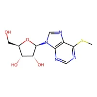 (2R,3S,4R,5R)-2-(Hydroxymethyl)-5-(6-(methylthio)-9H-purin-9-yl)tetrahydrofuran-3,4-diol 98% CAS 342-69-8