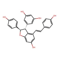 5-((2R,3R)-6-Hydroxy-2-(4-hydroxyphenyl)-4-((E)-4-hydroxystyryl)-2,3-dihydrobenzofuran-3-yl)benzene-1,3-diol 98% CAS 62218-08-0