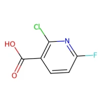 2-Chloro-6-fluoronicotinic acid 95% CAS 1211533-26-4