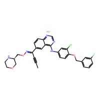 (R,Z)-1-(4-((3-Chloro-4-((3-fluorobenzyl)oxy)phenyl)amino)quinazolin-6-yl)but-2-yn-1-one O-morpholin-3-ylmethyl oxime hydrochloride 98% CAS 2071195-74-7