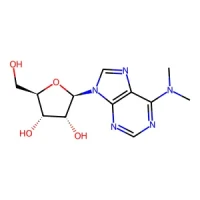 (2R,3R,4S,5R)-2-(6-(Dimethylamino)-9H-purin-9-yl)-5-(hydroxymethyl)tetrahydrofuran-3,4-diol 97% CAS 2620-62-4