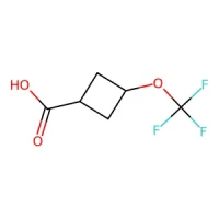 3-(Trifluoromethoxy)cyclobutane-1-carboxylic acid 95% CAS 2247106-27-8