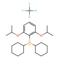 Dicyclohexyl(2,6-diisopropoxyphenyl)phosphonium tetrafluoroborate 98% CAS 1268824-70-9