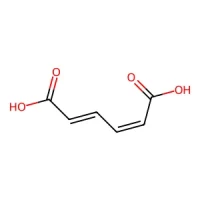 (2Z,4E)-Hexa-2,4-dienedioic acid 97% CAS 1119-73-9